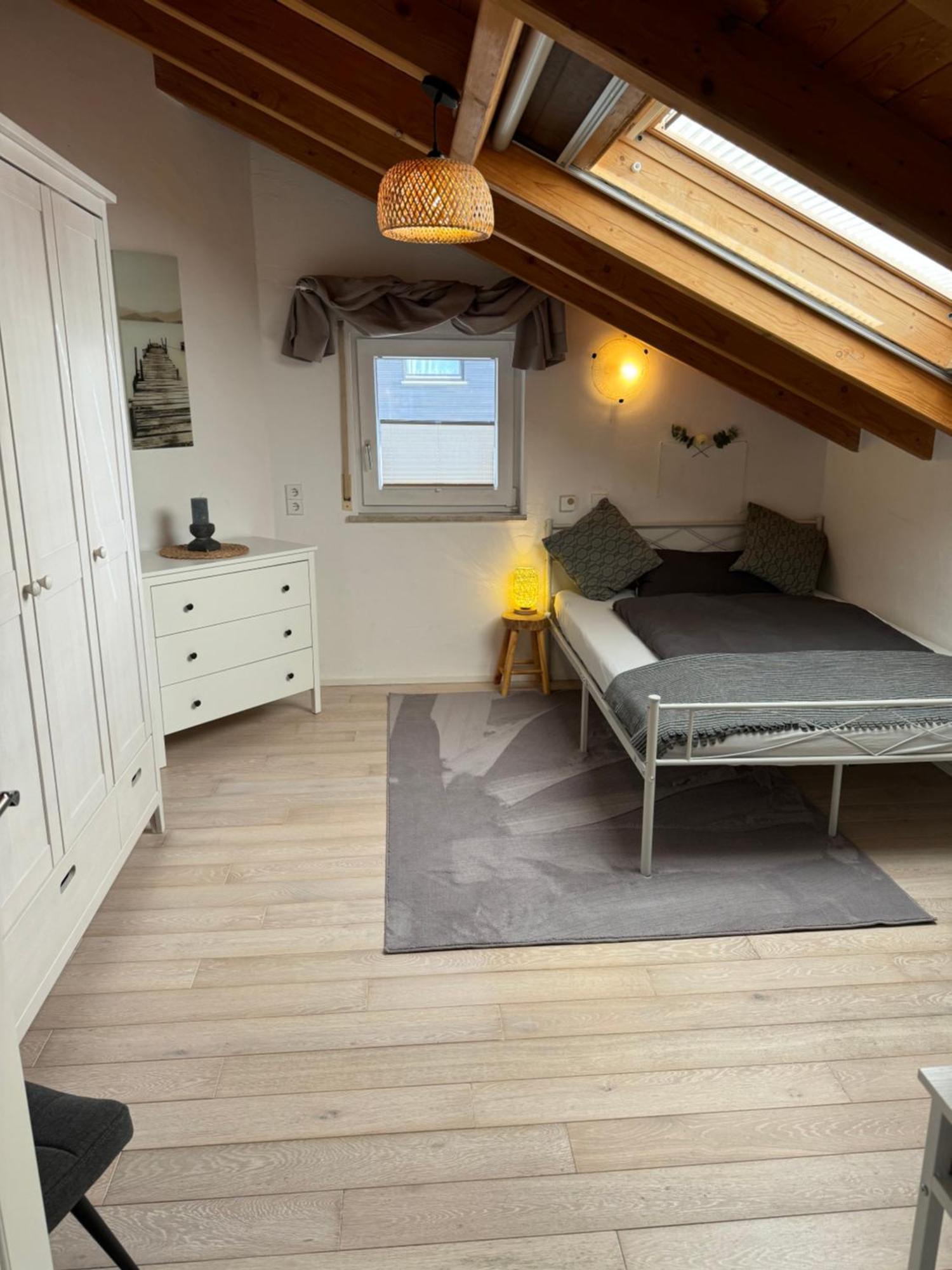 Spacy 3 Bedroom Plus Sleeping Couch Apartment Work&Travel Close To Heidelberg Dielheim Exterior foto
